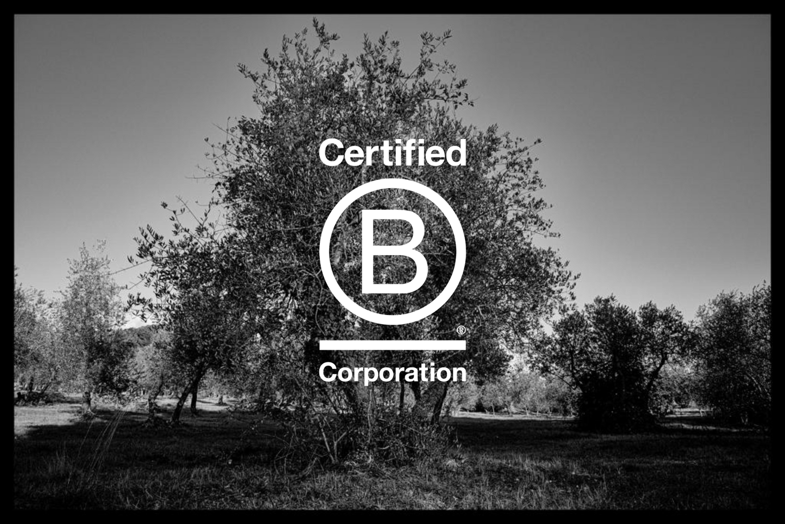 We are Now B Corp Certified
