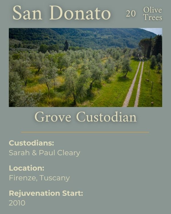 The Cleary Grove