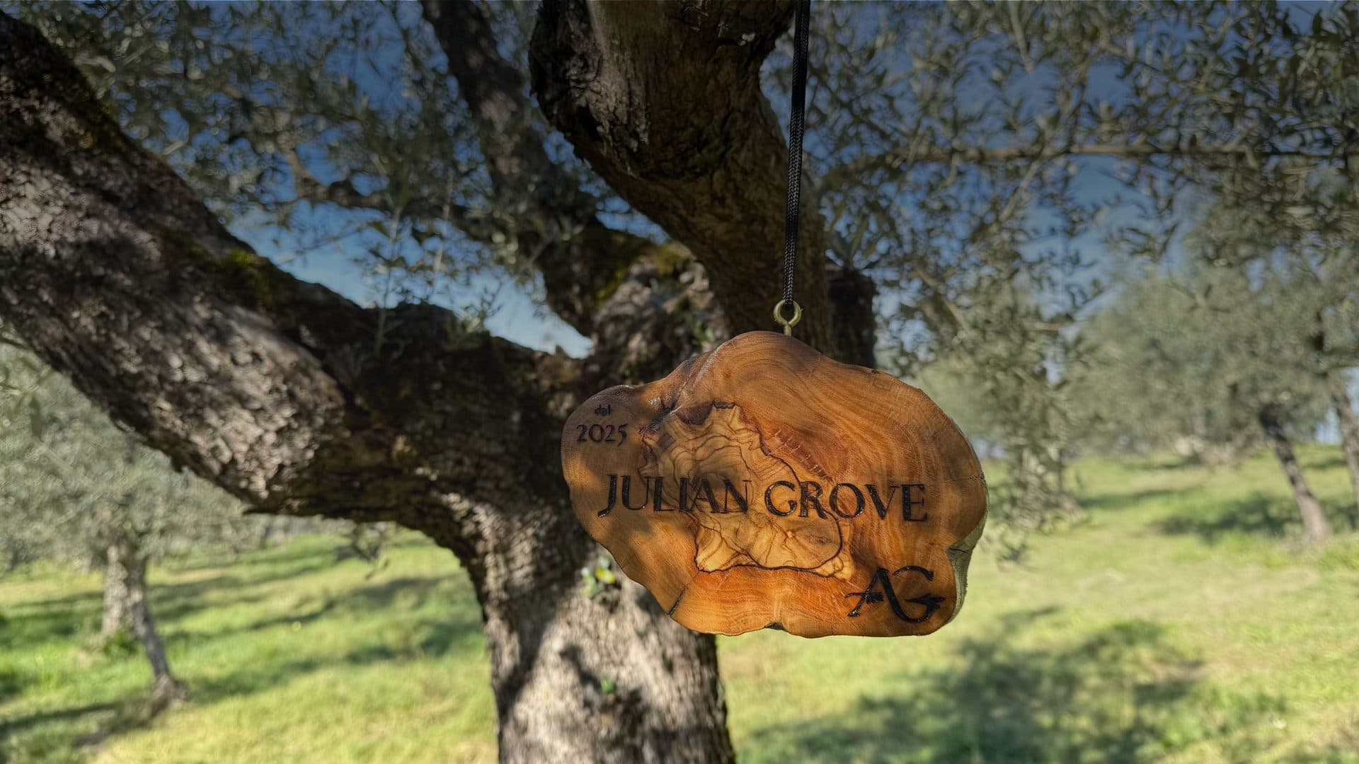 Gift a Tree — nameplate on an olive tree