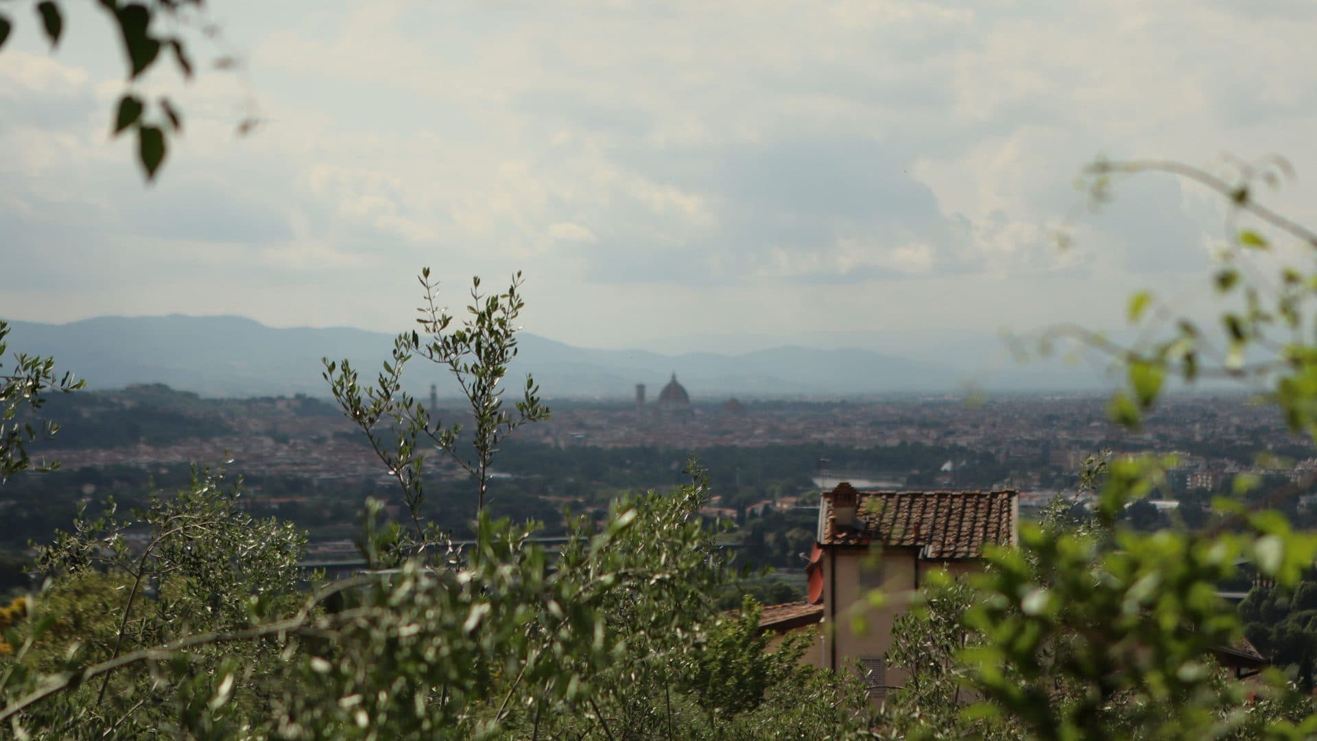 Osteria grove, Tuscany