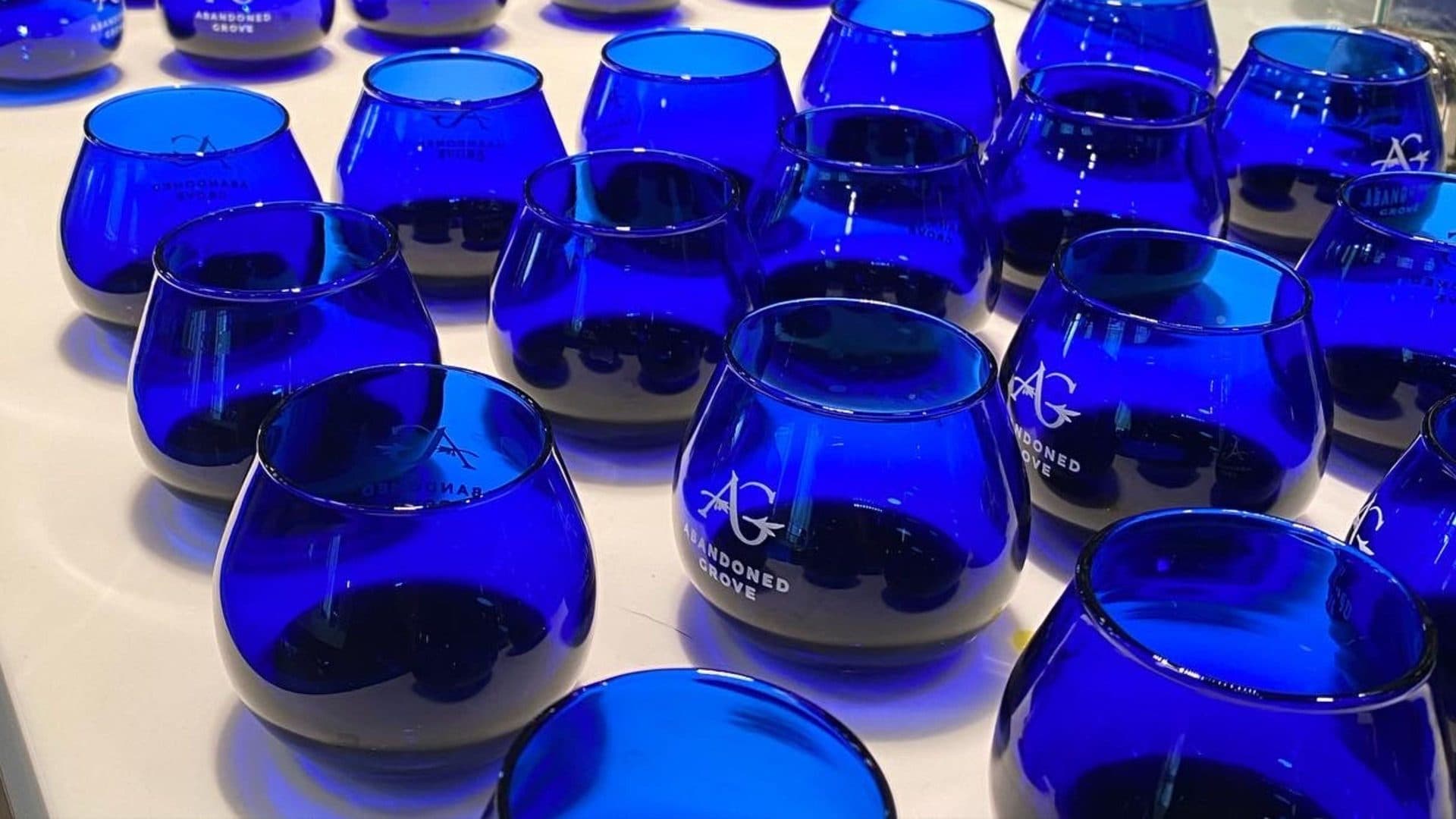 Olive oil tasting glasses arranged for sensory evaluation