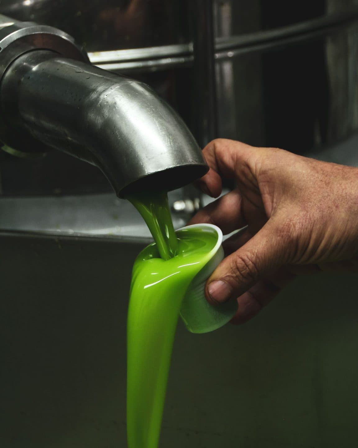 The green mill at olive harvest