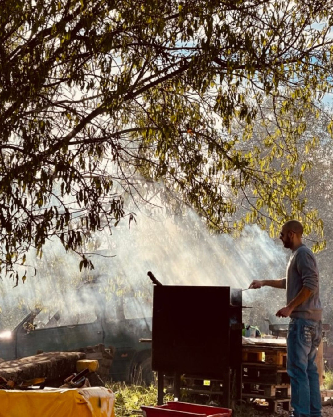 Gift a Rescued Olive Tree