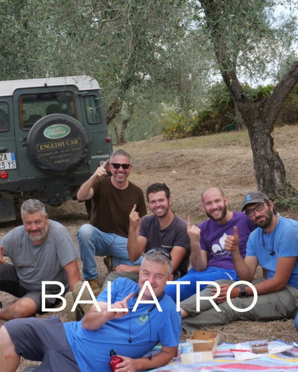 Gift a Rescued Olive Tree: Balatro Grove