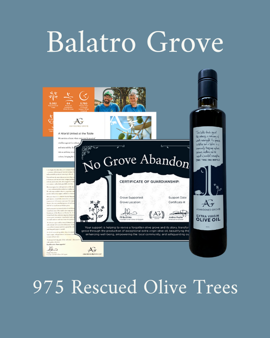 Gift a Rescued Olive Tree: Balatro Grove