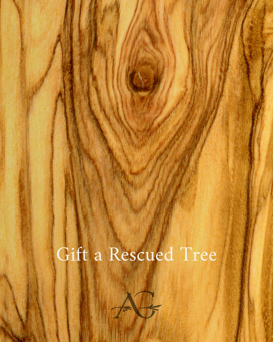 Gift a Rescued Olive Tree