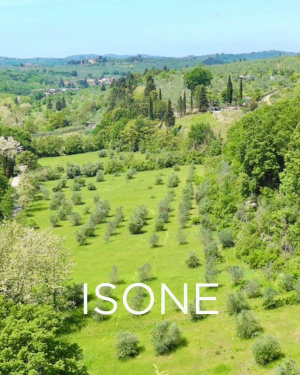 Gift a Rescued Olive Tree: Isone Grove