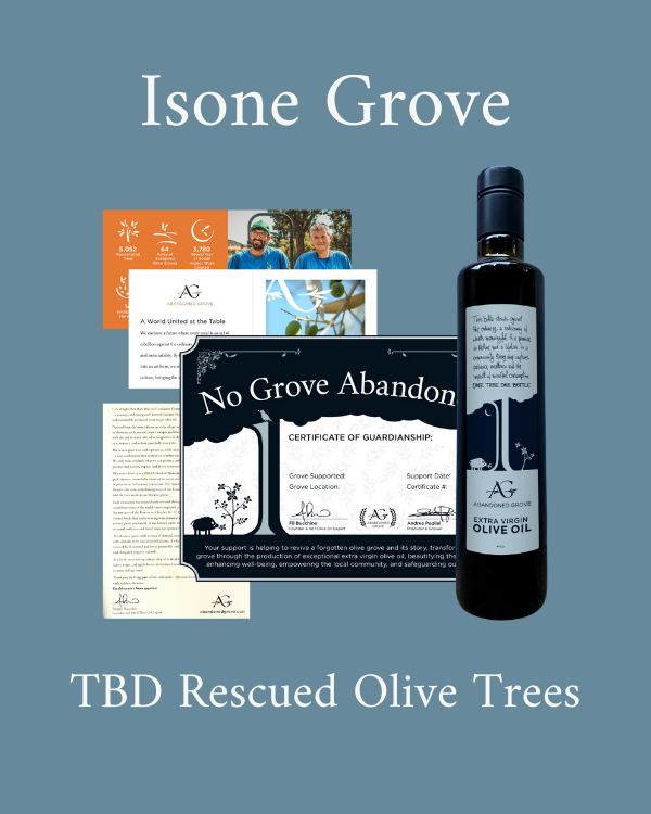 Adopt a Rescued Olive Tree: Isone