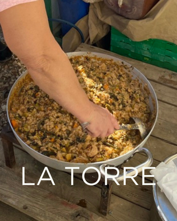 Adopt a Rescued Olive Tree: La Torre