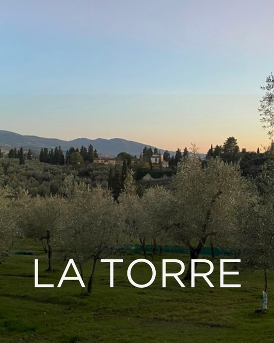 Gift a Rescued Olive Tree: La Torre Grove