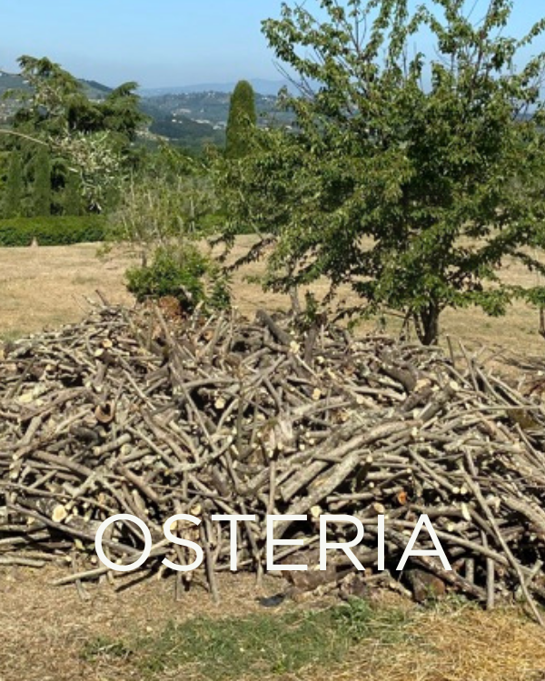 Adopt a Rescued Olive Tree: Osteria