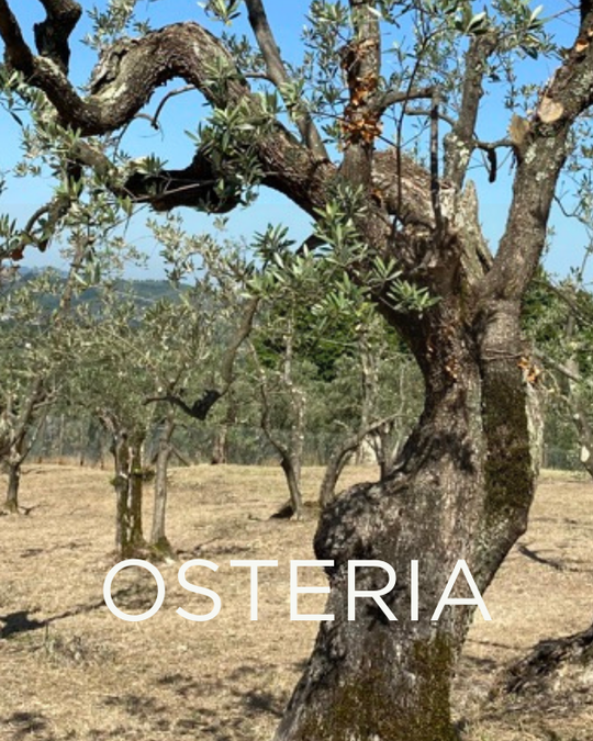 Adopt a Rescued Olive Tree: Osteria