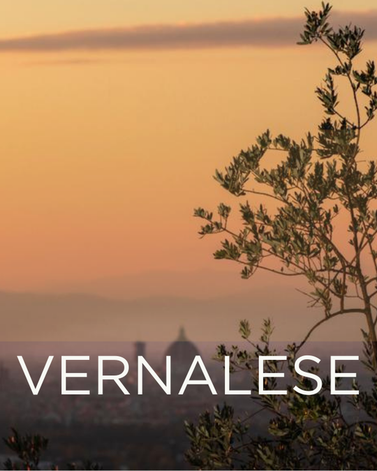 Gift a Rescued Olive Tree: Vernalese Grove