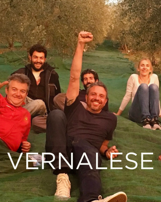 Gift a Rescued Olive Tree: Vernalese Grove