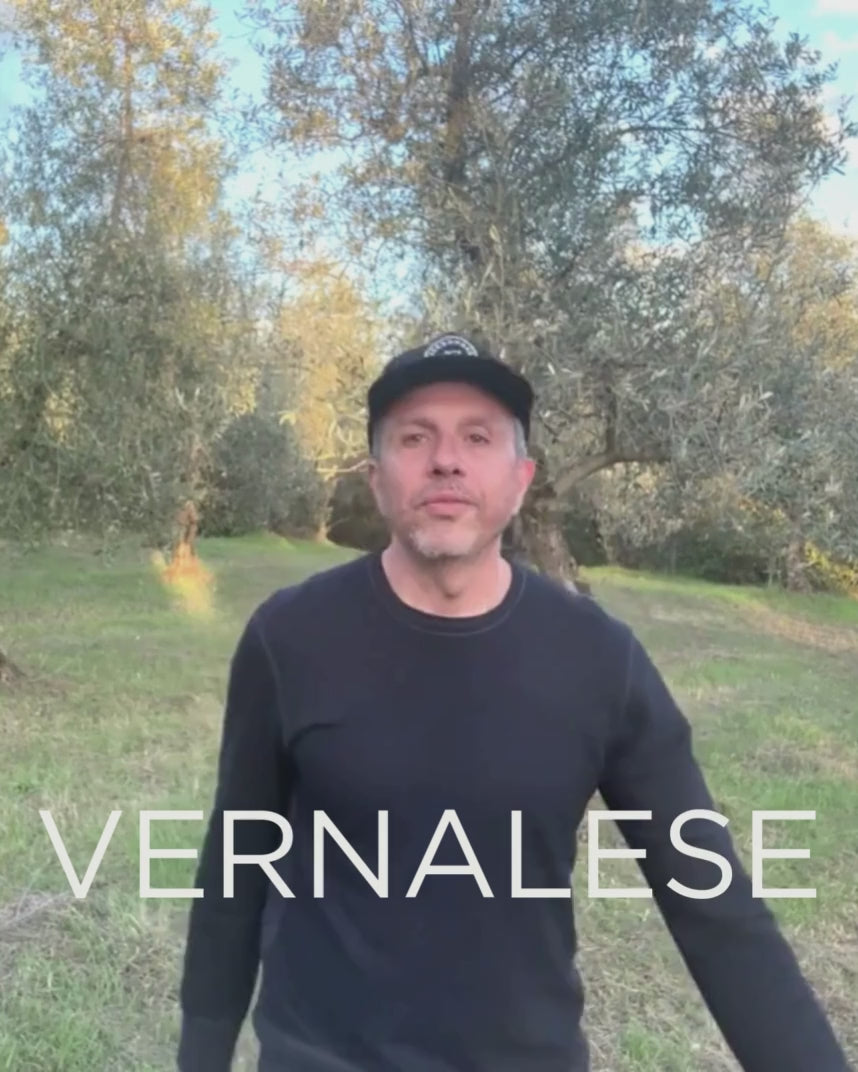 Adopt a Rescued Olive Tree: Vernalese