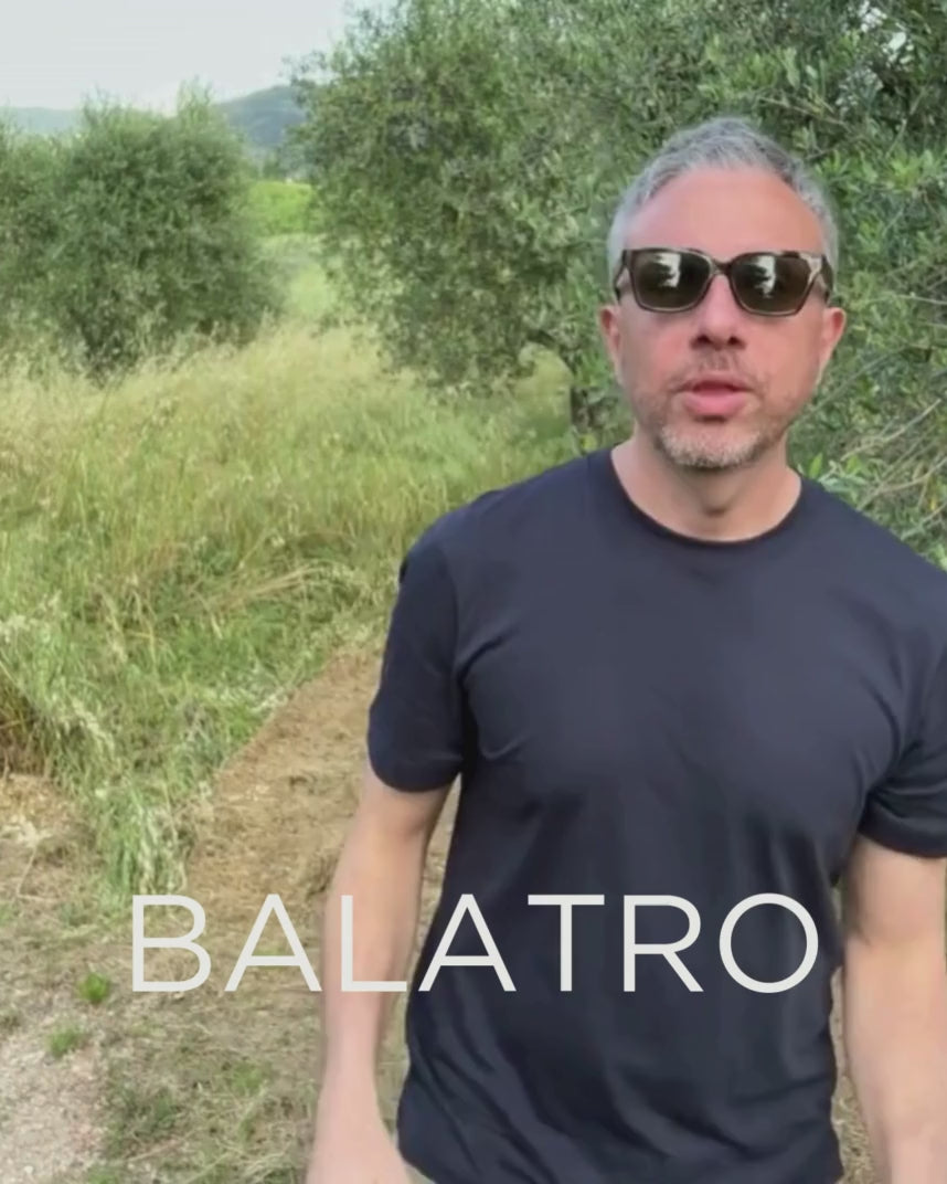 Gift a Rescued Olive Tree: Balatro Grove